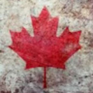 Meet your Posher, Devon